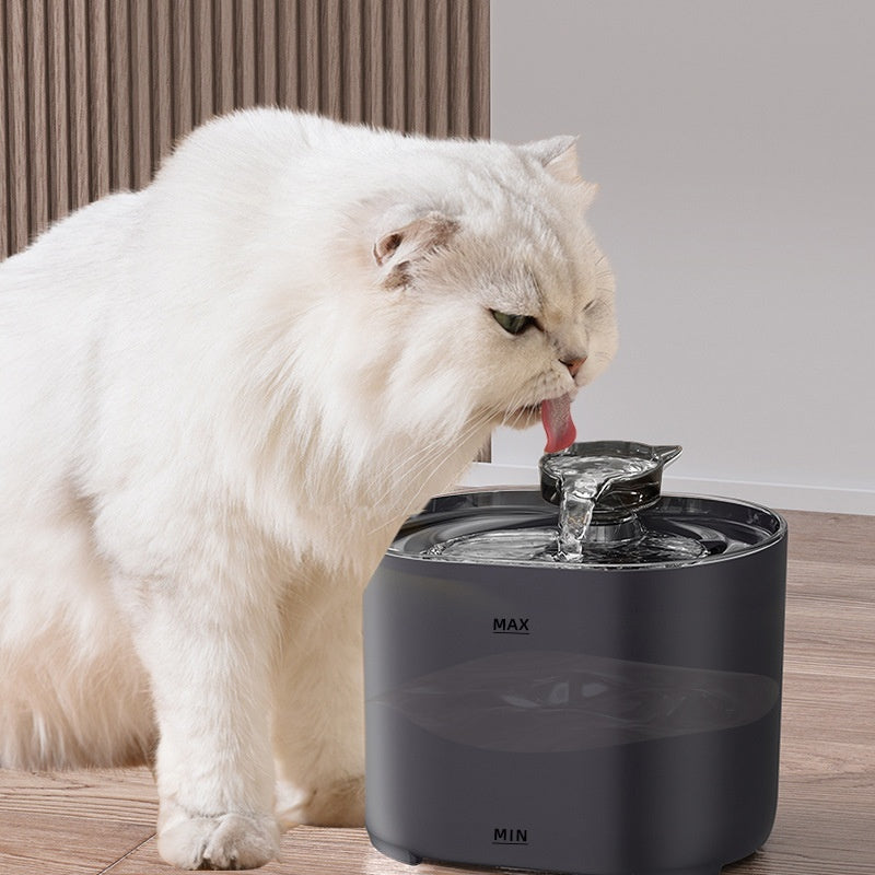 Fuente de agua automática para gatos