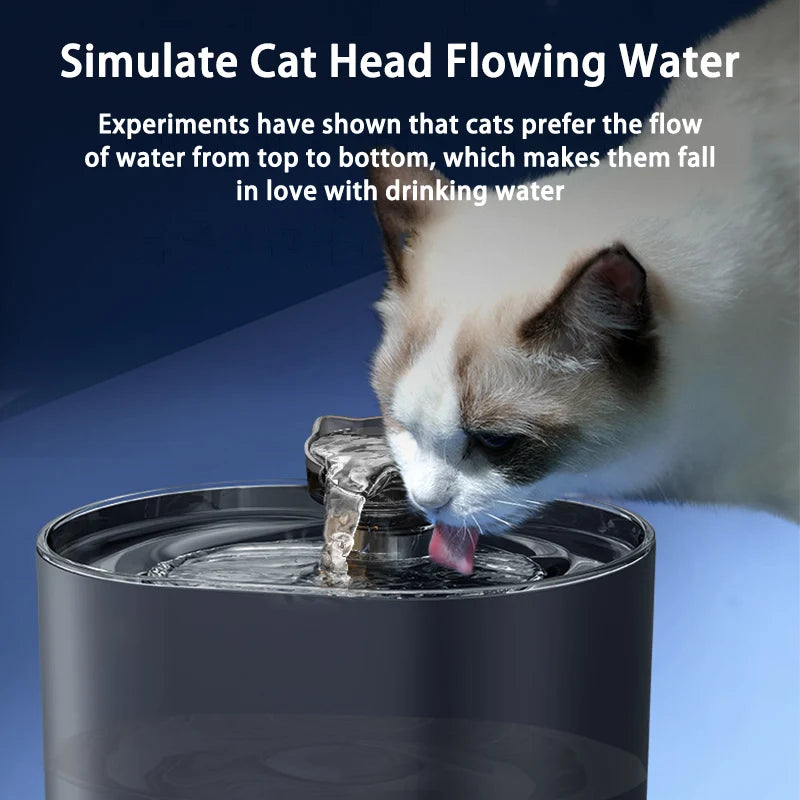 Fontaine à eau automatique pour chat