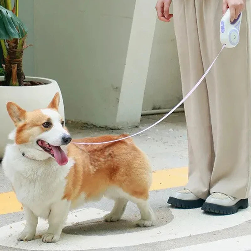 Correa retráctil automática para perros de 3 m/5 m con linterna